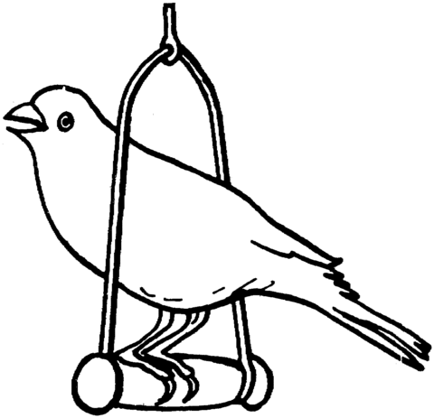 Canary Bird Coloring Page